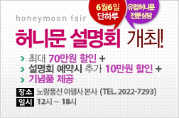 허니문 설명회